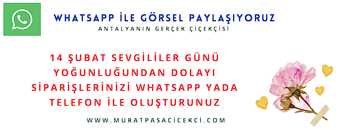 Antalya Çiçek 7/24 Çiçek Teslimatı- 60 Dk Teslimat